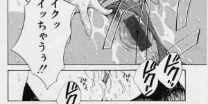 <?php the_title(); ?>