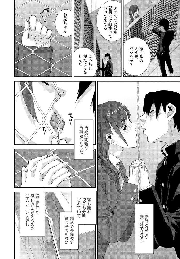 【エロ漫画】学校で義兄とフェンス越しにセックスする巨乳JK！フェンス越しにチンポとマンコを弄り合いびしょ濡れになったマンコに中出しセックス！【志乃武丹英】